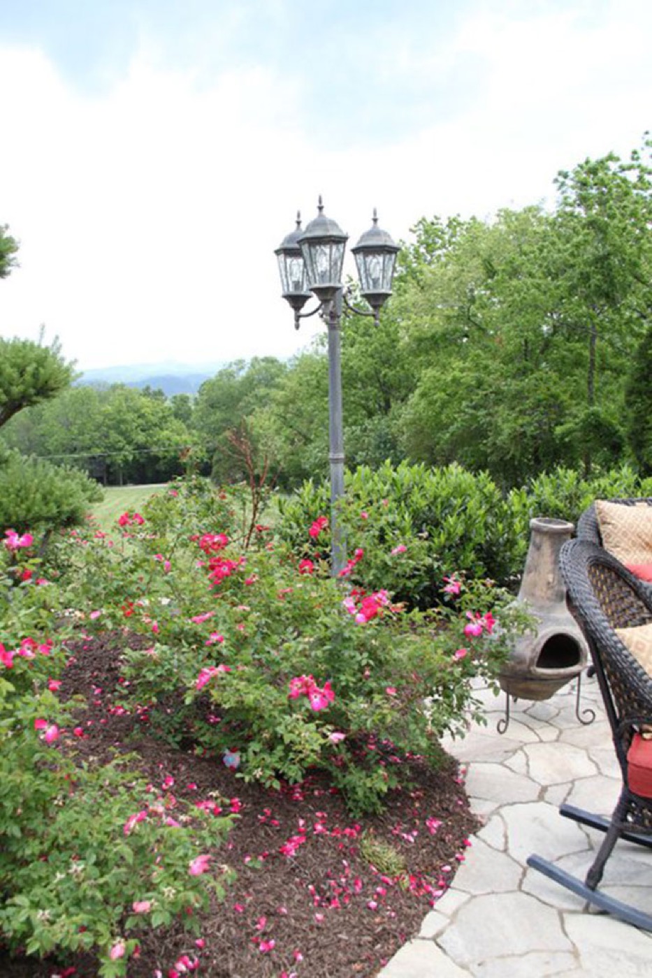 Landscaping & Irrigation — project photo